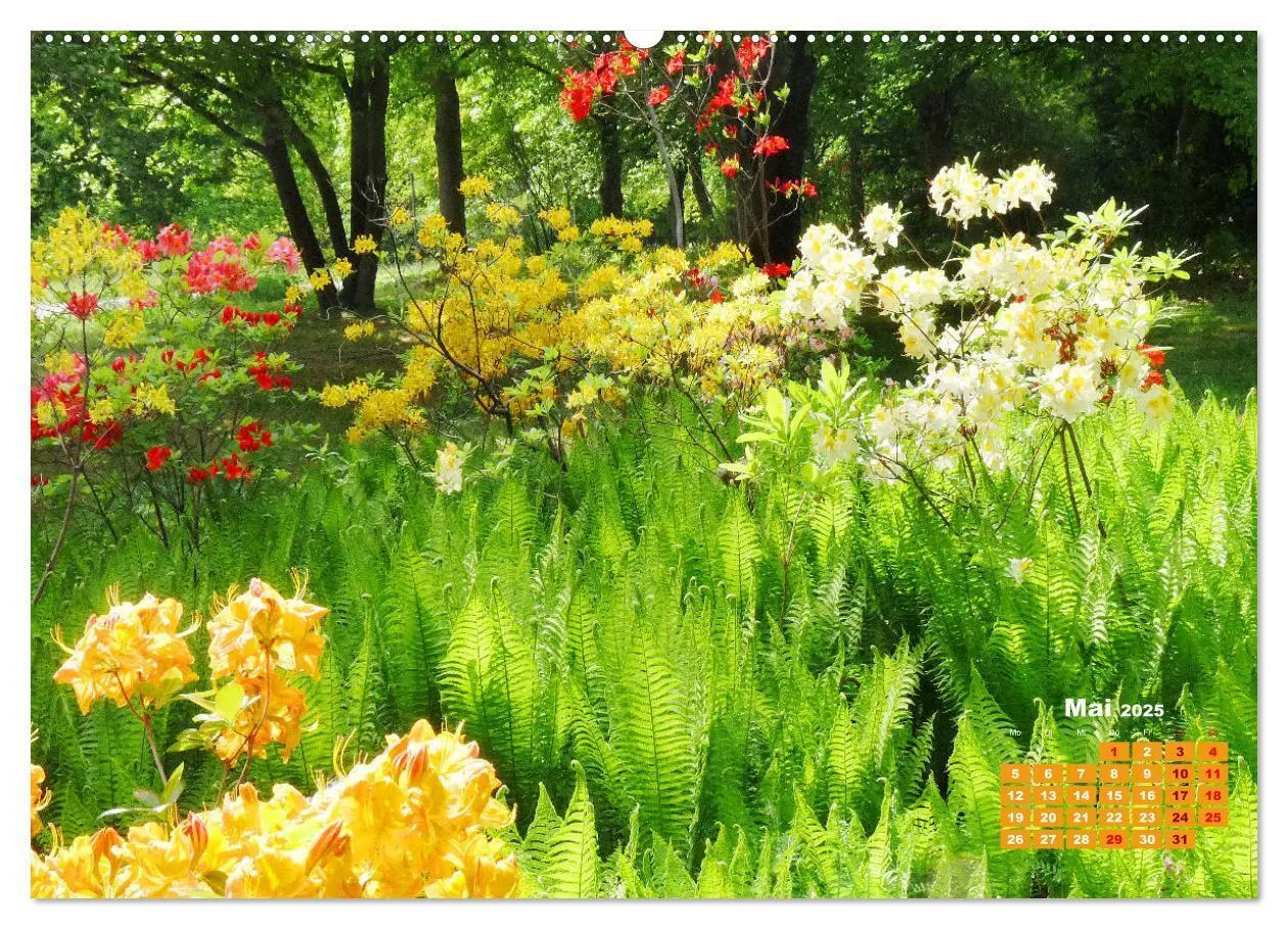 Bild: 9783383988493 | Urlaub im Garten (Wandkalender 2025 DIN A2 quer), CALVENDO...