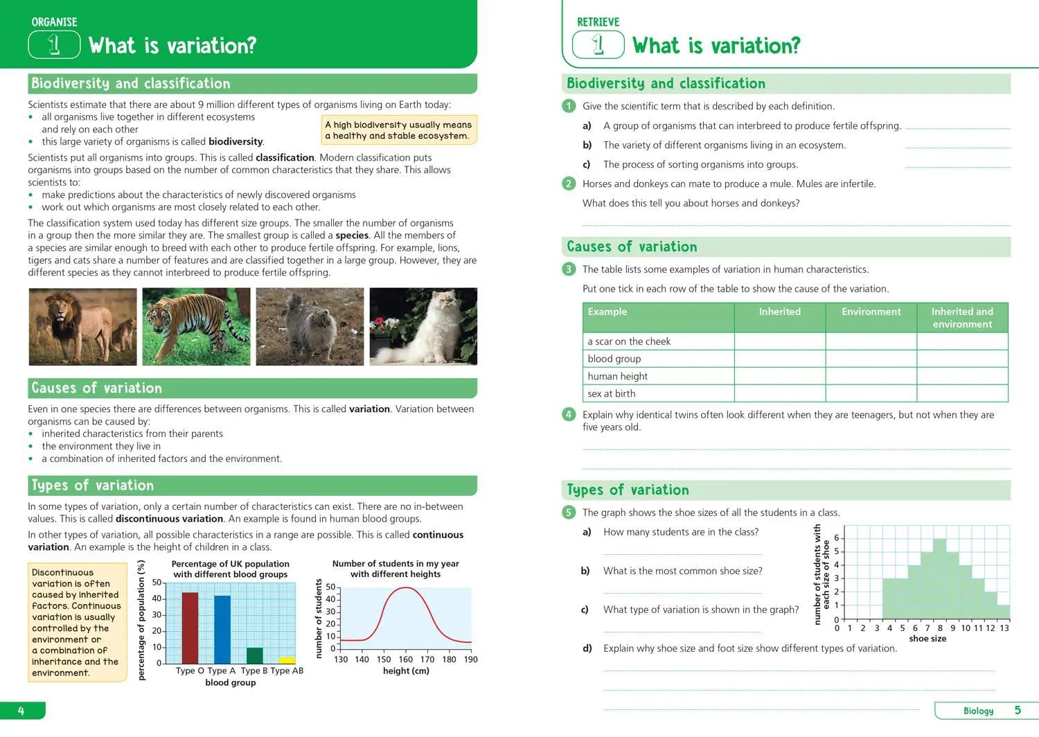 Bild: 9780008598693 | Ks3 Science Year 9: Organise and Retrieve Your Knowledge | Collins