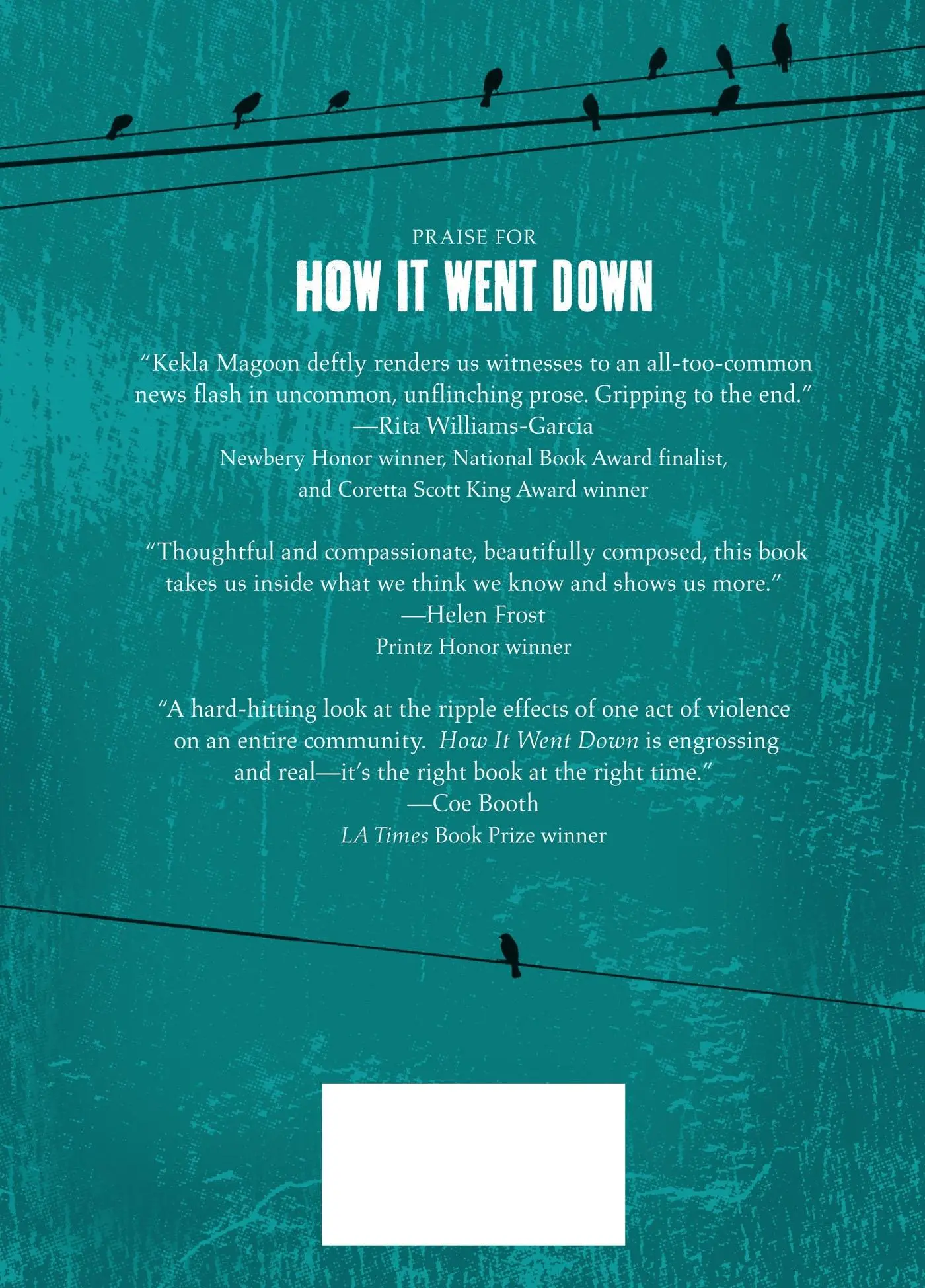 Rückseite: 9780805098693 | How It Went Down | Kekla Magoon | Buch | Englisch | 2014