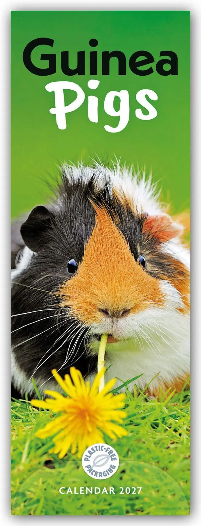 Cover: 9781529858693 | Guniea Pigs - Meerschweinchen 2027 - Slimline-Kalender | Calendar