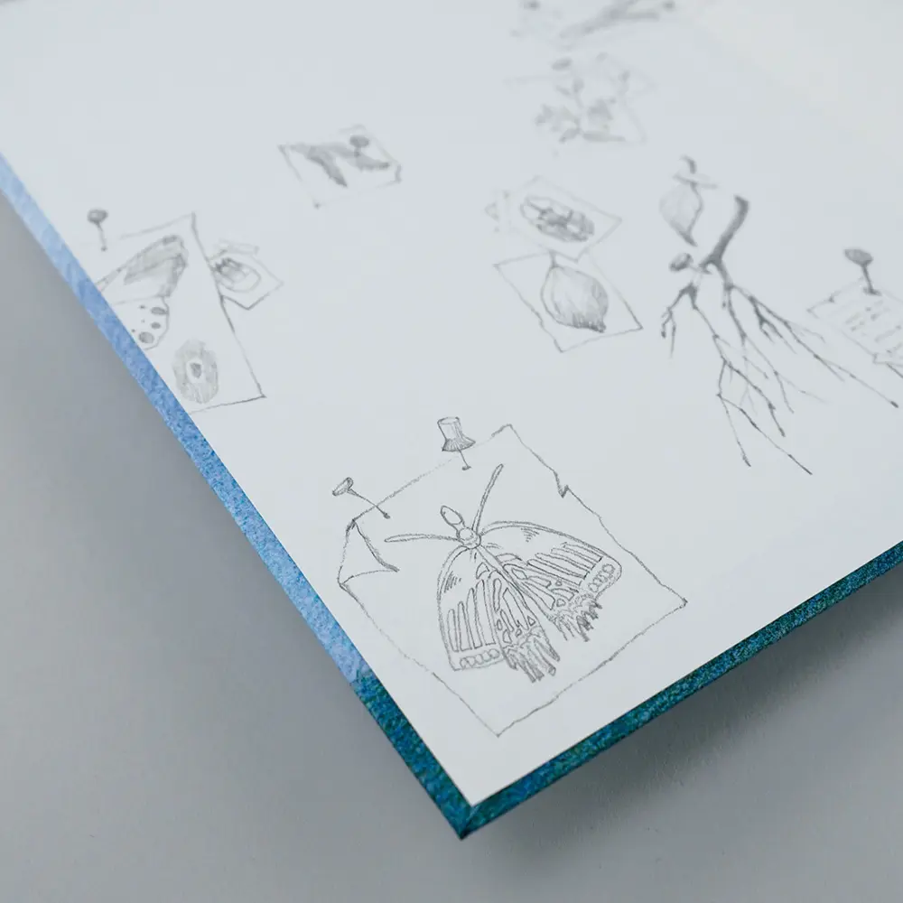 Bild: 9783446258693 | Calpurnias Tierstation - Ein neues Lämmchen | Jacqueline Kelly | Buch