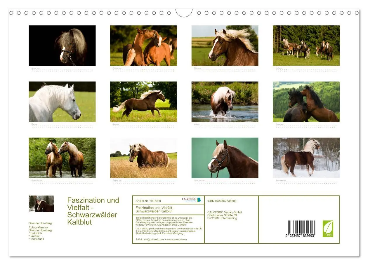 Bild: 9783457838693 | Faszination und Vielfalt - Schwarzwälder Kaltblut (Wandkalender...