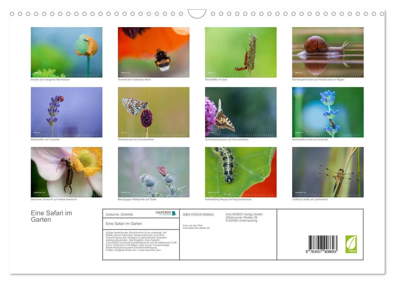 Bild: 9783457908693 | Eine Safari im Garten (Wandkalender 2026 DIN A3 quer), CALVENDO...