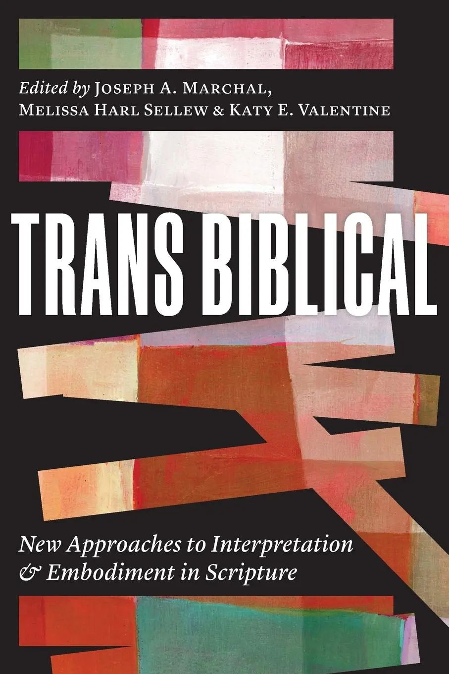 Cover: 9780664268893 | Trans Biblical | Joseph A. Marchal (u. a.) | Taschenbuch | Englisch