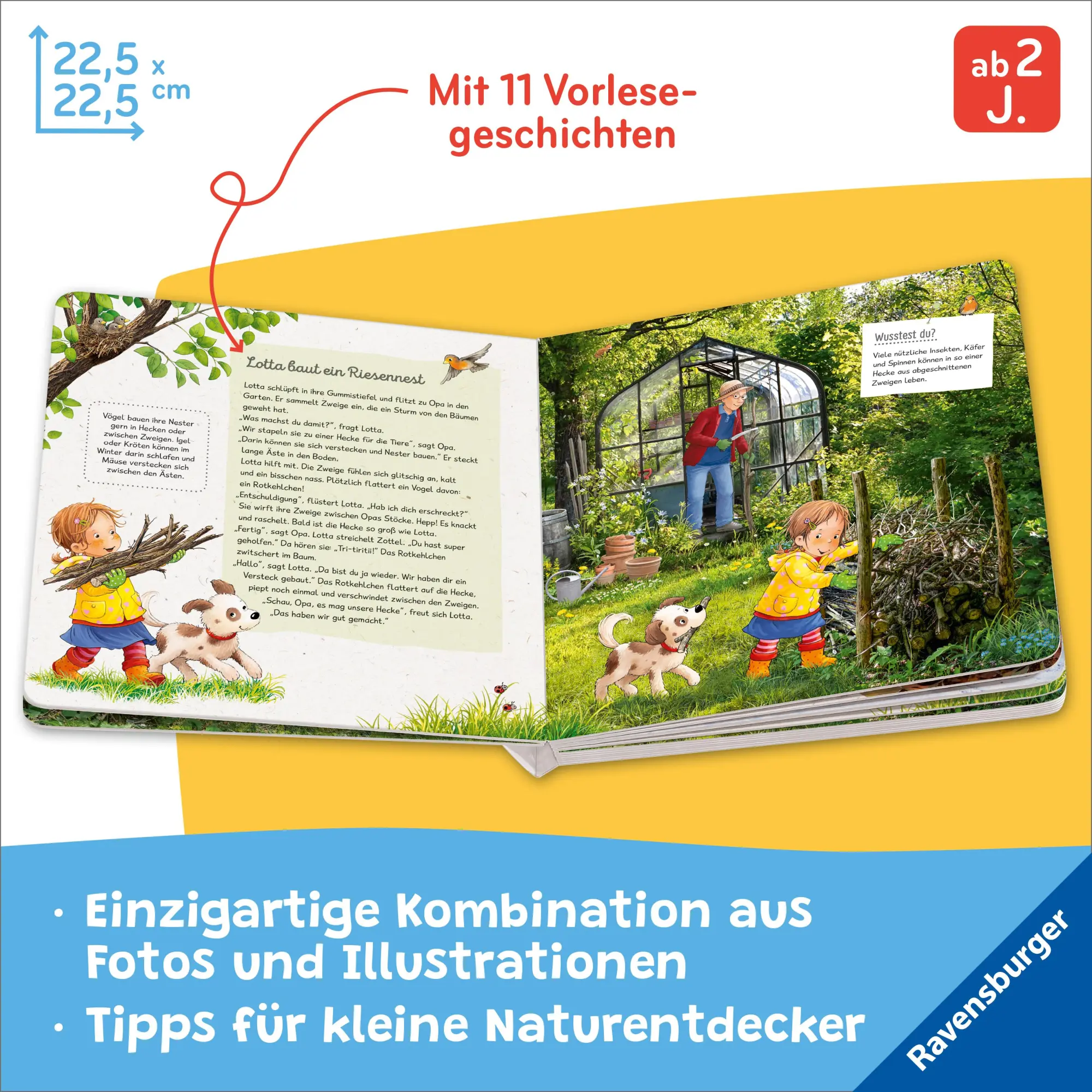 Bild: 9783473418893 | Lotta liebt die Natur | Sandra Grimm | Buch | Naturstart | 24 S.