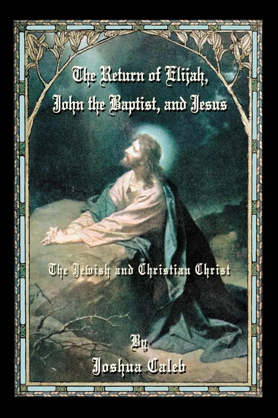 Cover: 9780595408993 | The Return of Elijah, John the Baptist, and Jesus | Joshua Caleb