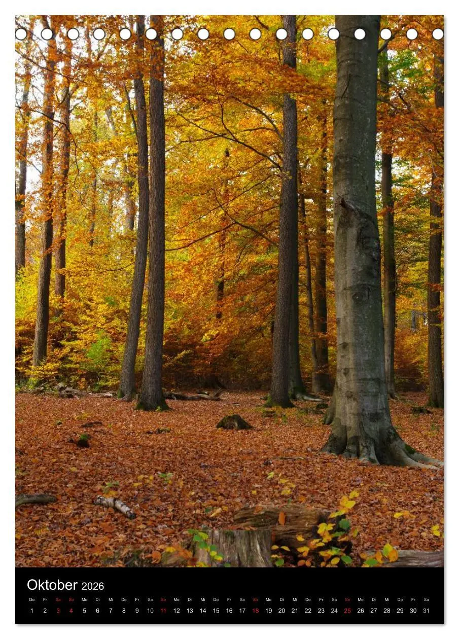 Bild: 9783516448993 | Traumhaftes Siegerland 2026 (Tischkalender 2026 DIN A5 hoch),...