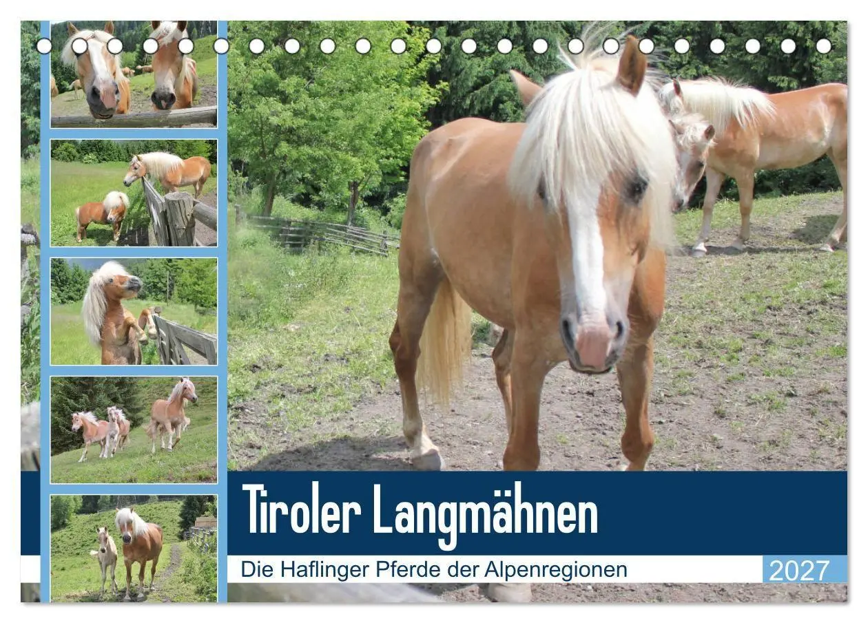 Cover: 9783569848993 | Tiroler Langmähnen (Tischkalender 2027 DIN A5 quer), CALVENDO...