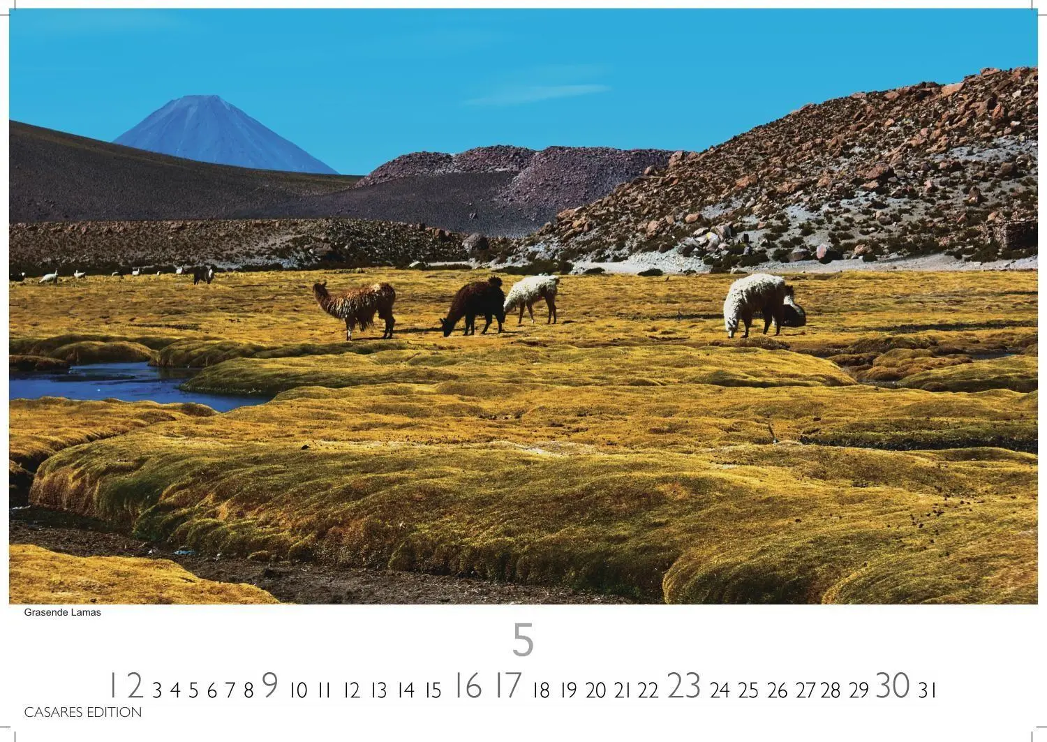 Bild: 9781835249093 | Chile Kalender 2027 - Wandkalender Fotokalender Südamerika 35x50cm...