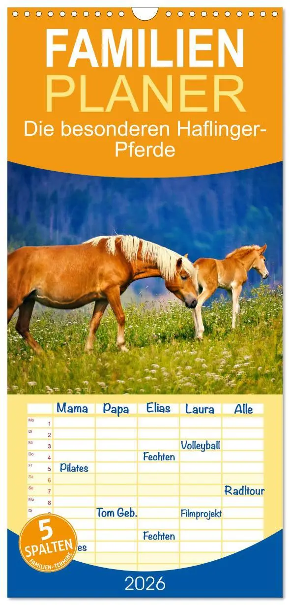 Cover: 9783516649093 | Familienplaner 2026 - Die besonderen Haflinger-Pferde mit 5 Spalten...