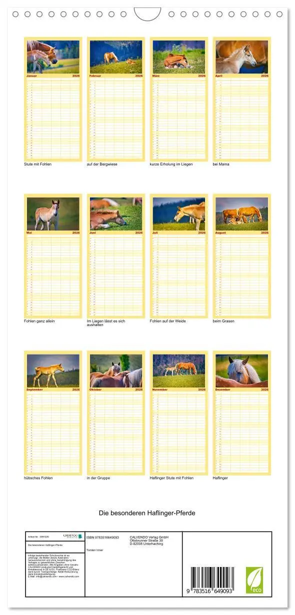 Bild: 9783516649093 | Familienplaner 2026 - Die besonderen Haflinger-Pferde mit 5 Spalten...