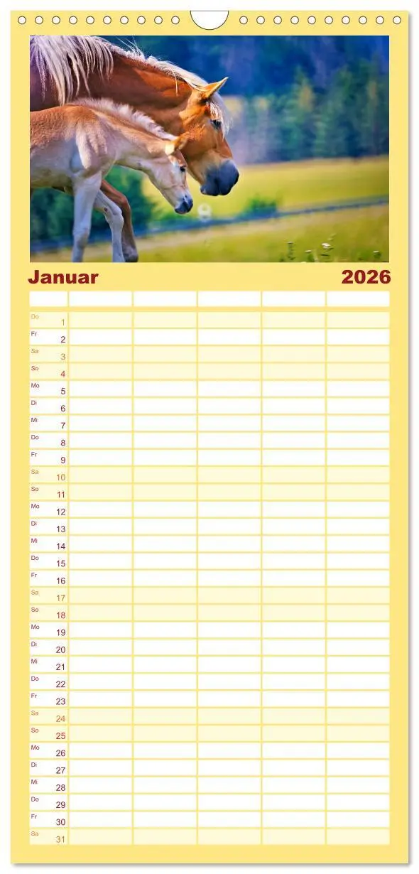 Bild: 9783516649093 | Familienplaner 2026 - Die besonderen Haflinger-Pferde mit 5 Spalten...