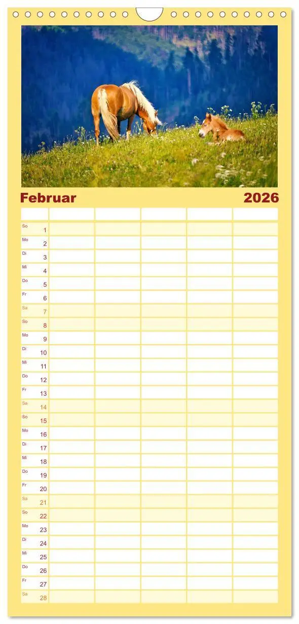 Bild: 9783516649093 | Familienplaner 2026 - Die besonderen Haflinger-Pferde mit 5 Spalten...