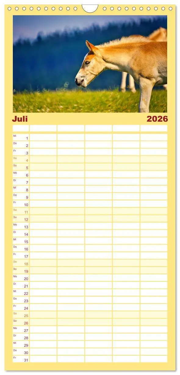 Bild: 9783516649093 | Familienplaner 2026 - Die besonderen Haflinger-Pferde mit 5 Spalten...