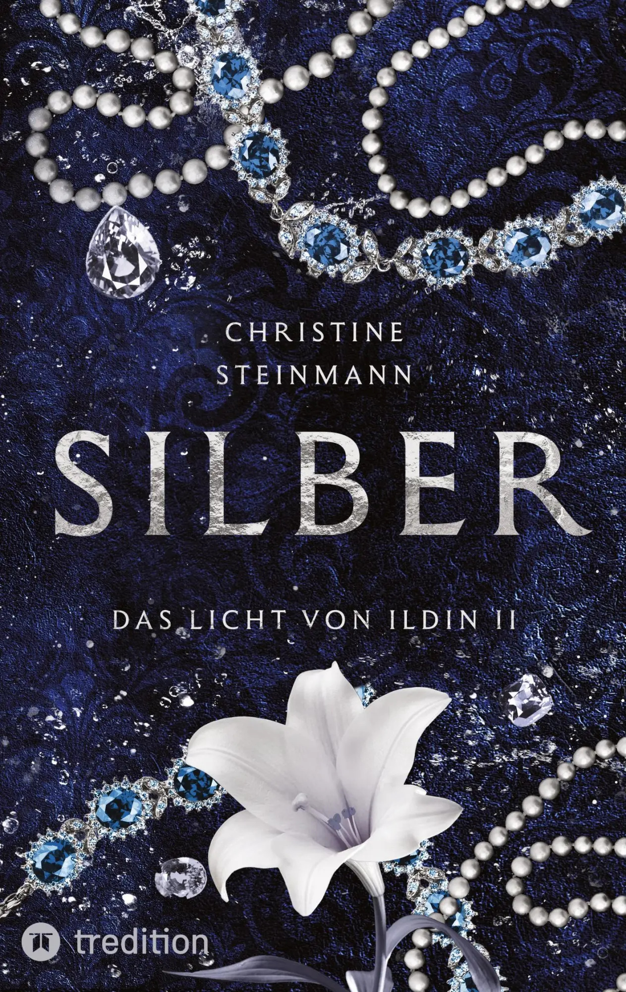 Cover: 9783384669193 | SILBER | Das Licht von Ildin II | Christine Steinmann | Taschenbuch