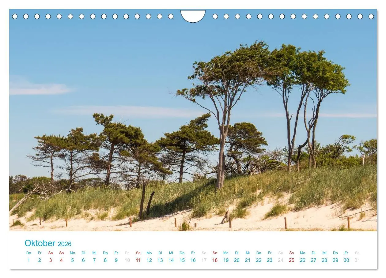 Bild: 9783516189193 | Der Darß Kalender (Wandkalender 2026 DIN A4 quer), CALVENDO...