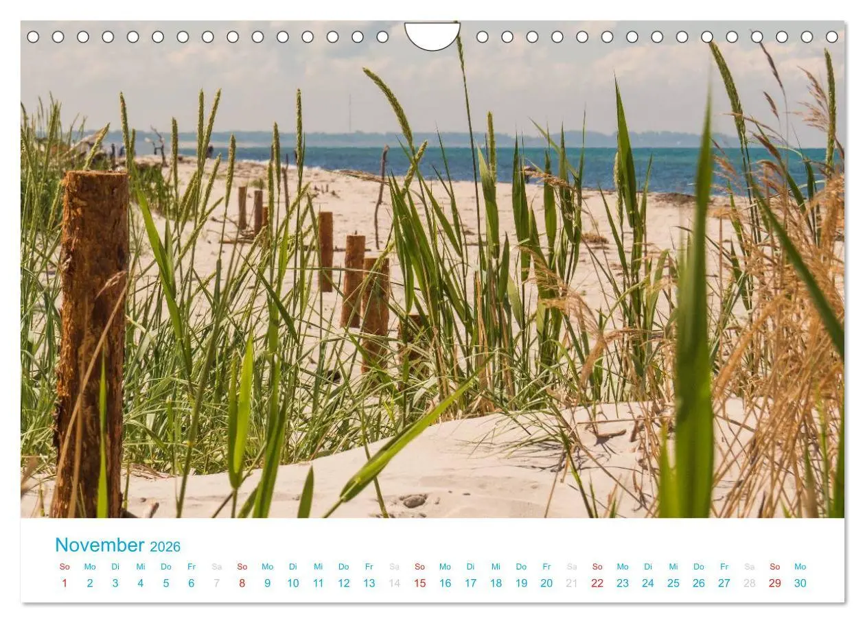 Bild: 9783516189193 | Der Darß Kalender (Wandkalender 2026 DIN A4 quer), CALVENDO...