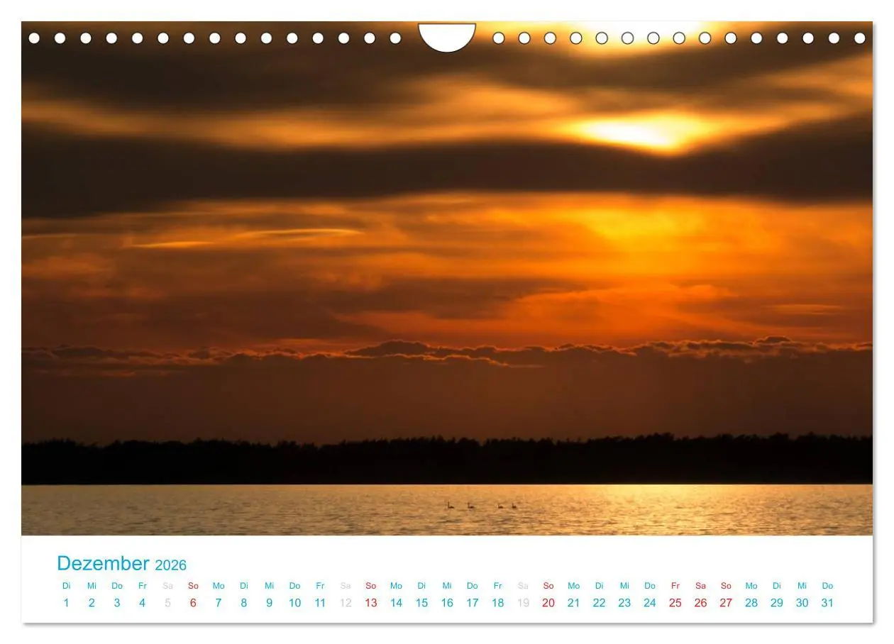 Bild: 9783516189193 | Der Darß Kalender (Wandkalender 2026 DIN A4 quer), CALVENDO...