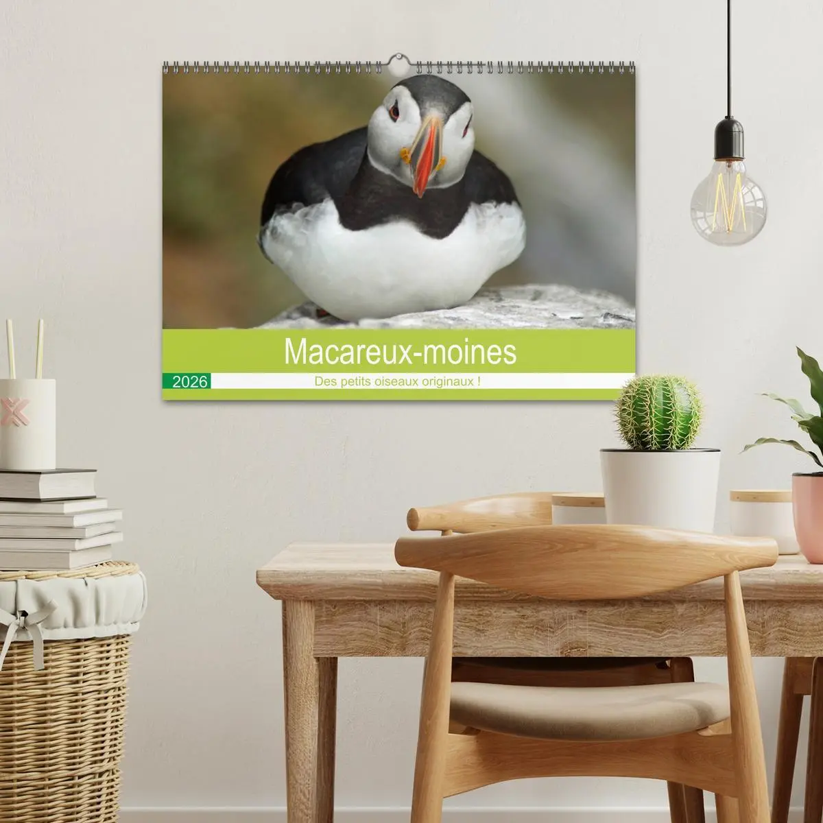 Bild: 9783516559293 | Macareux-moines Des petits oiseaux originaux! (Calendrier mural...