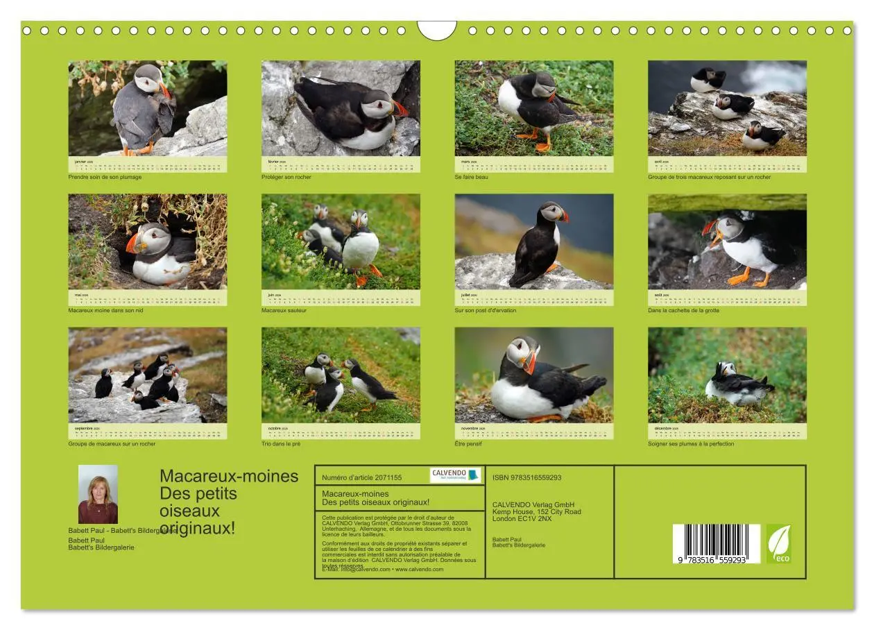 Bild: 9783516559293 | Macareux-moines Des petits oiseaux originaux! (Calendrier mural...