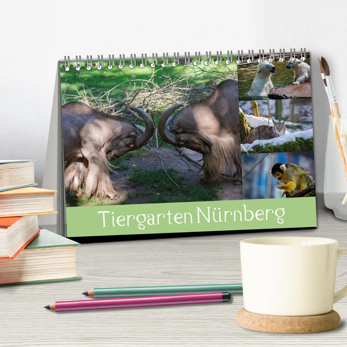 Bild: 9783457909393 | Tiergarten Nürnberg (Tischkalender 2026 DIN A5 quer), CALVENDO...