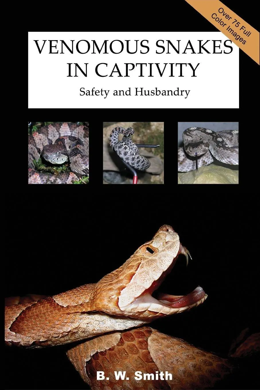 Cover: 9781411629493 | Venomous Snakes in Captivity | Safety and Husbandry | B. W. Smith