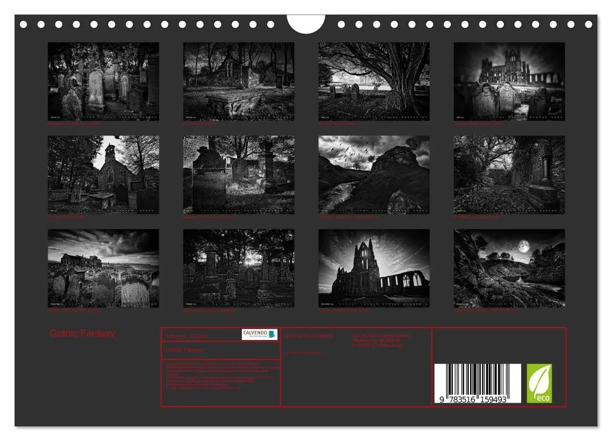Bild: 9783516159493 | Gothic Fantasy (Wandkalender 2026 DIN A4 quer), CALVENDO...
