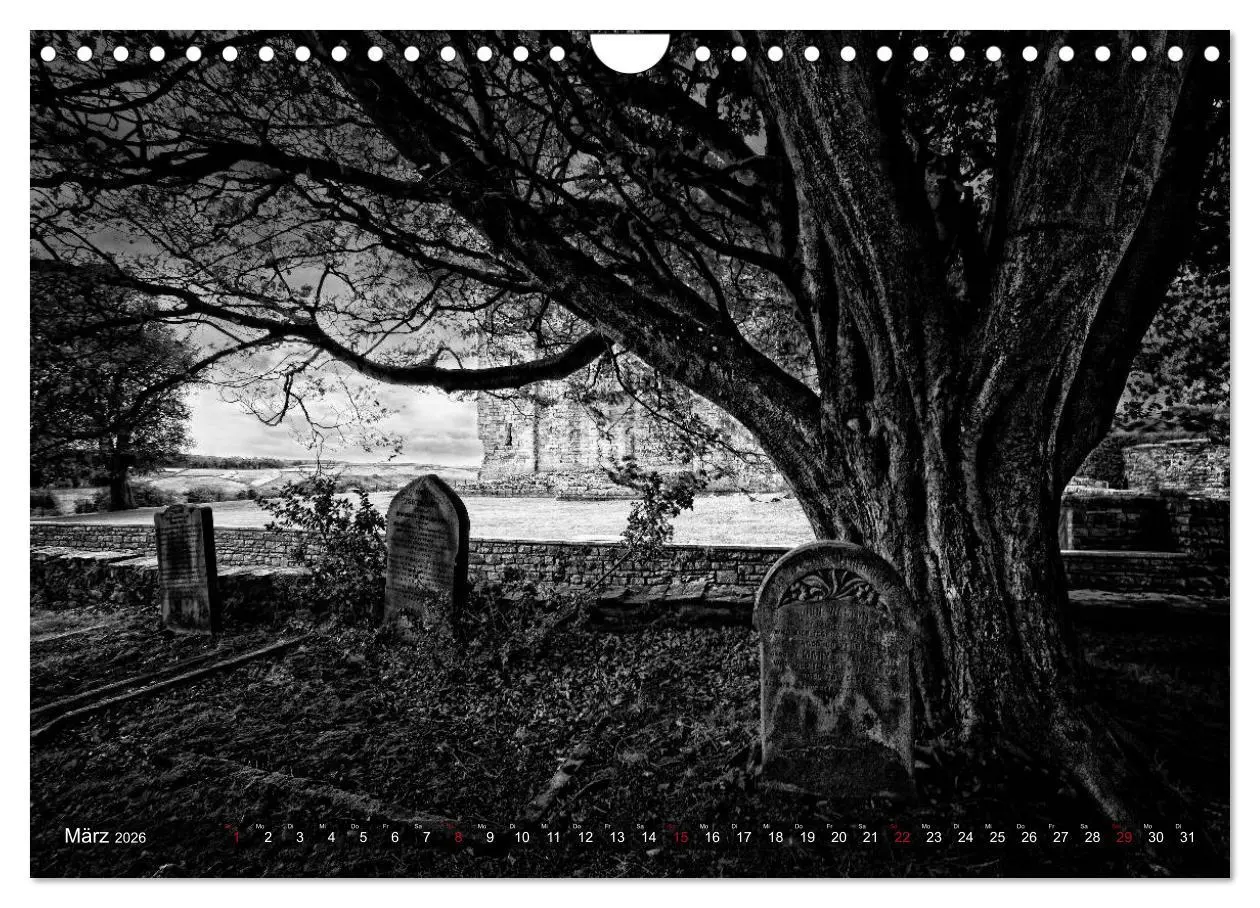 Bild: 9783516159493 | Gothic Fantasy (Wandkalender 2026 DIN A4 quer), CALVENDO...