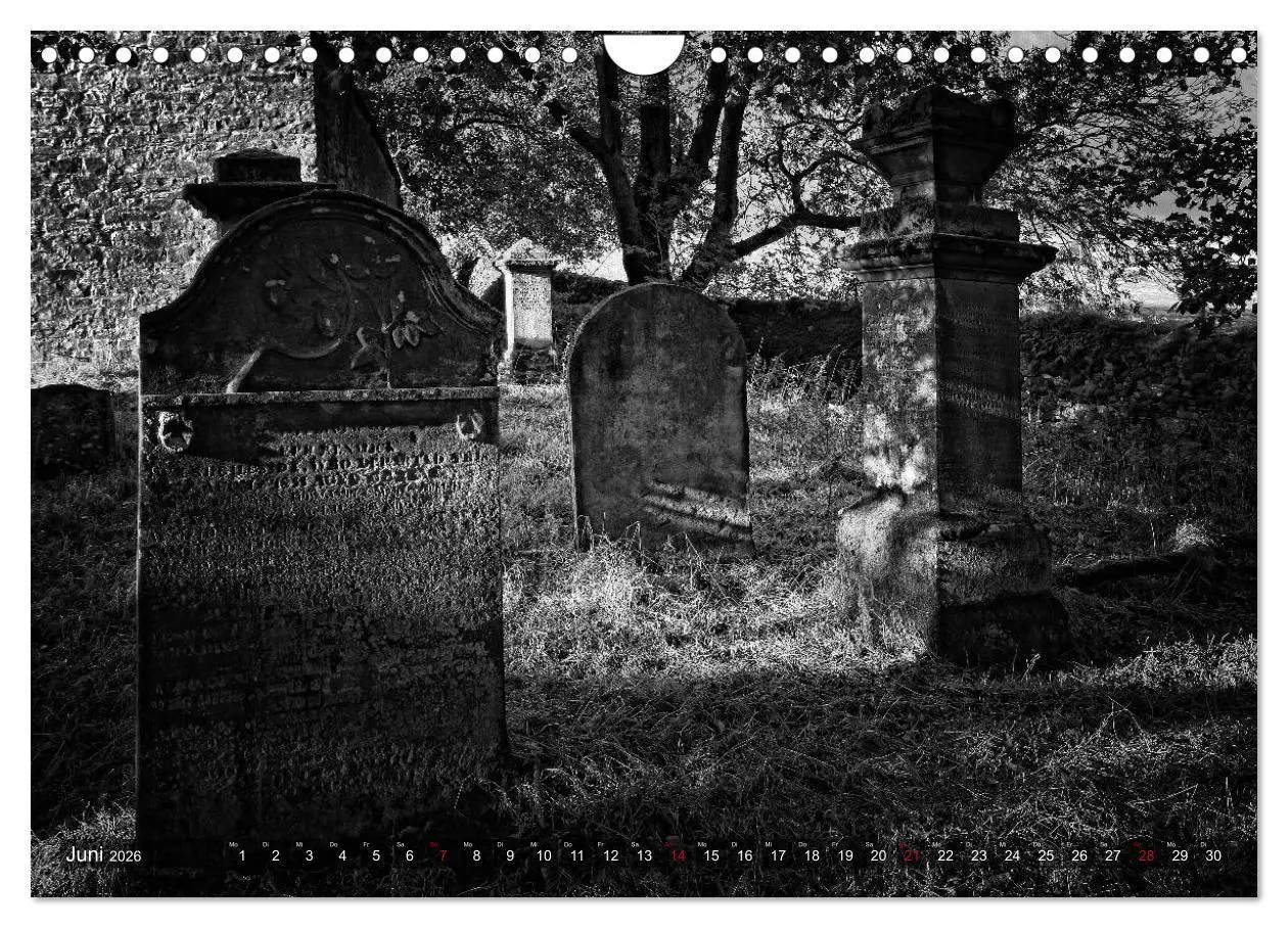 Bild: 9783516159493 | Gothic Fantasy (Wandkalender 2026 DIN A4 quer), CALVENDO...