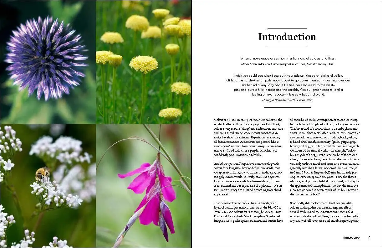 Bild: 9781604699593 | The Gardener's Palette | Creating Colour Harmony in the Garden | Buch