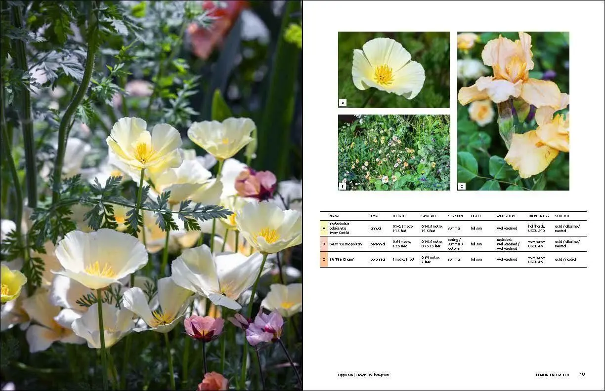 Bild: 9781604699593 | The Gardener's Palette | Creating Colour Harmony in the Garden | Buch