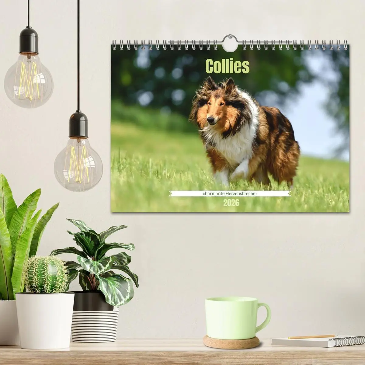 Bild: 9783516699593 | Collies - charmante Herzensbrecher (Wandkalender 2026 DIN A4 quer),...