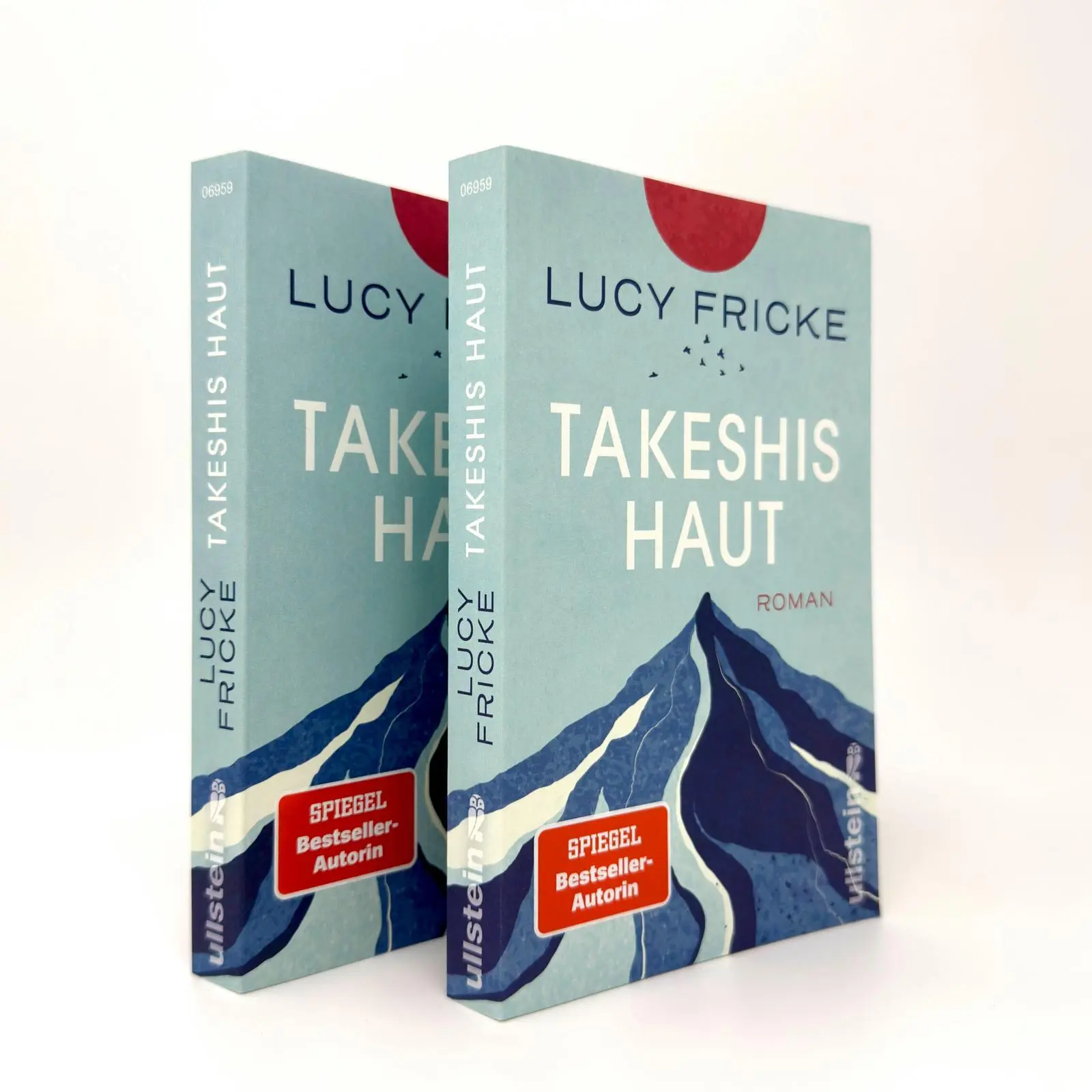 Bild: 9783548069593 | Takeshis Haut | Lucy Fricke | Taschenbuch | 224 S. | Deutsch | 2025