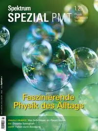 Cover: 9783958929593 | Spektrum Spezial PMT 1/2025 - Faszinierende Physik des Alltags | Buch