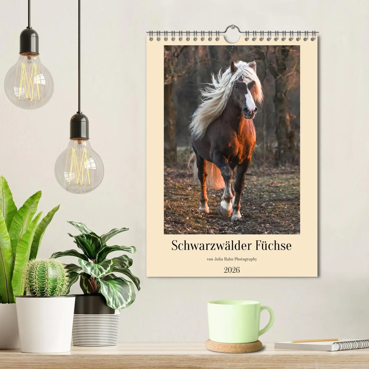 Bild: 9783516299793 | Schwarzwälder Füchse von Julia Hahn Photography (Wandkalender 2026...