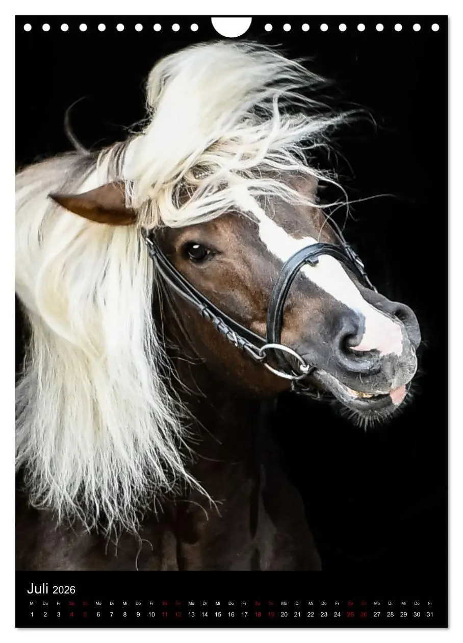 Bild: 9783516299793 | Schwarzwälder Füchse von Julia Hahn Photography (Wandkalender 2026...