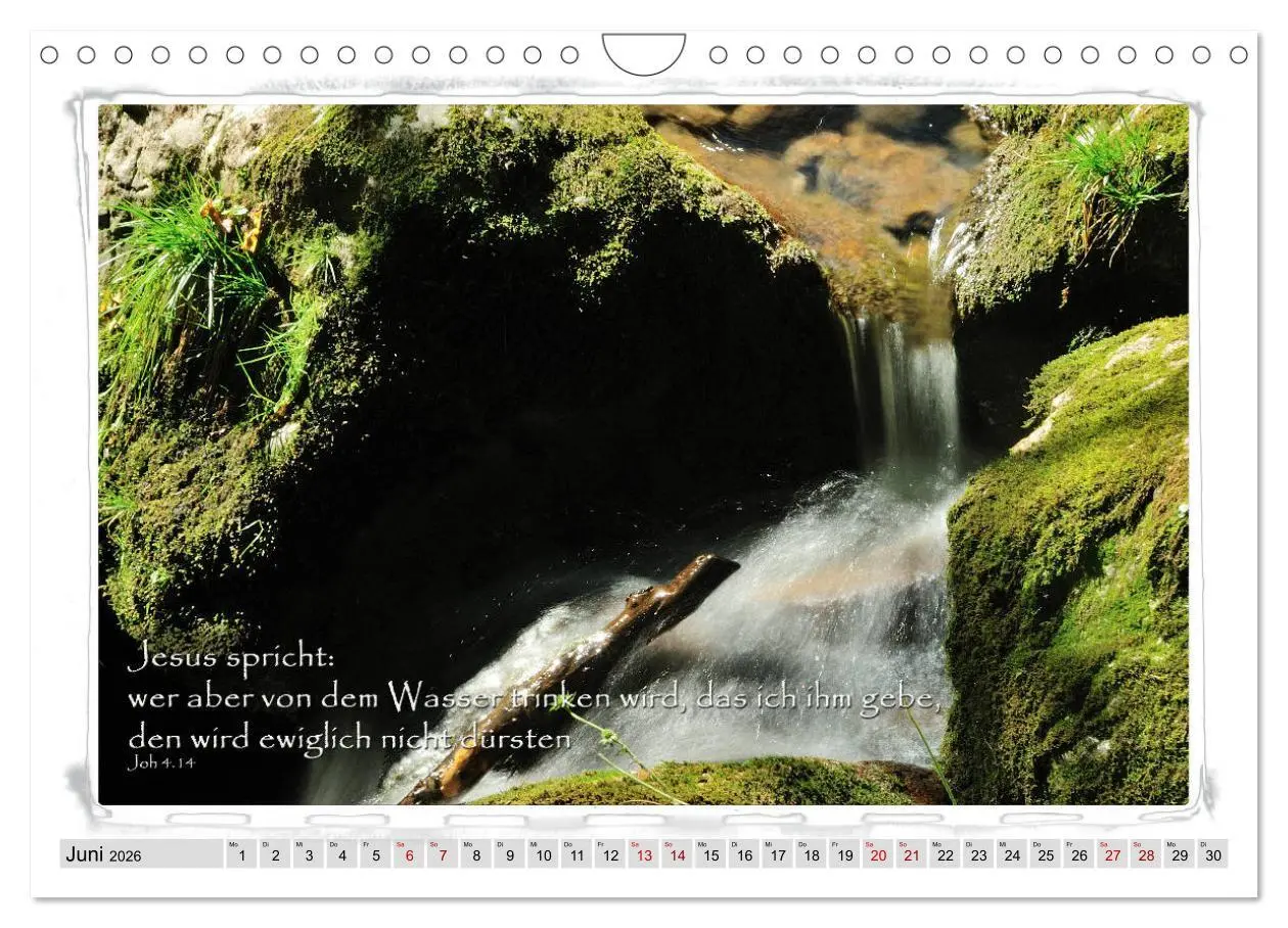Bild: 9783457889893 | Biblische Sprüche und Verse (Wandkalender 2026 DIN A4 quer),...