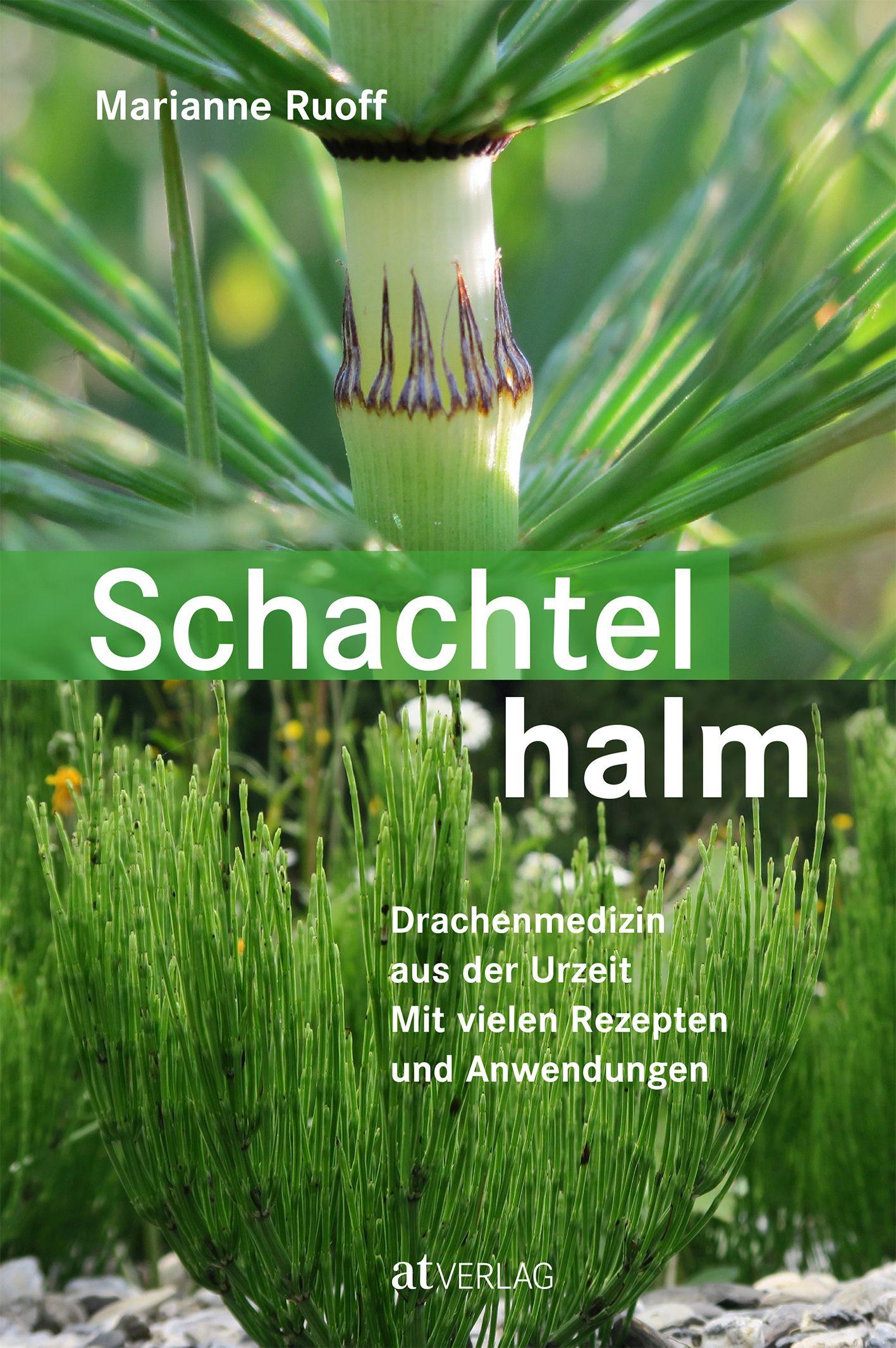 Cover: 9783038009993 | Schachtelhalm | Marianne Ruoff | Buch | 224 S. | Deutsch | 2019