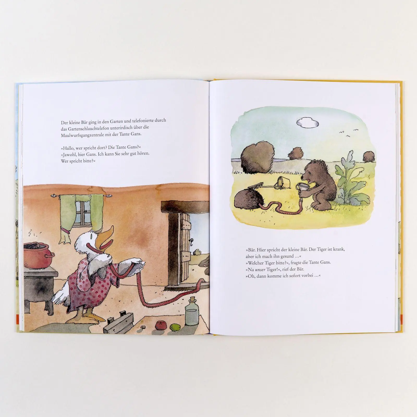 Bild: 9783407759993 | Tiger und Bär. Beste Freunde, ehrlich wahr! | Vierfarbiges Bilderbuch