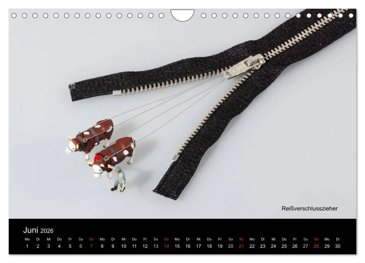 Bild: 9783516039993 | Tomatenmaler ... und andere Mini-Welten (Wandkalender 2026 DIN A4...