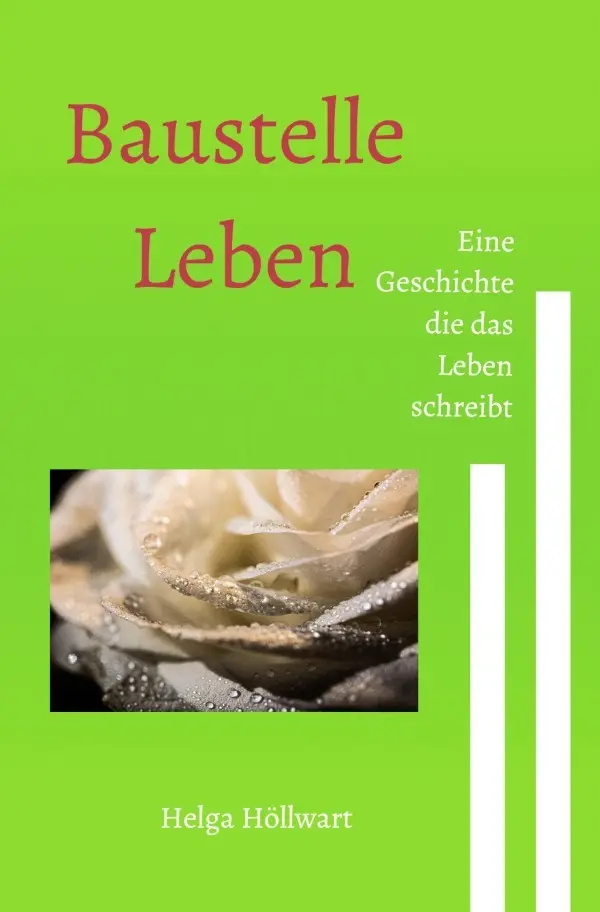 Cover: 9783758459993 | Baustelle Leben | Eine Geschichte die das Leben schreibt | Höllwart