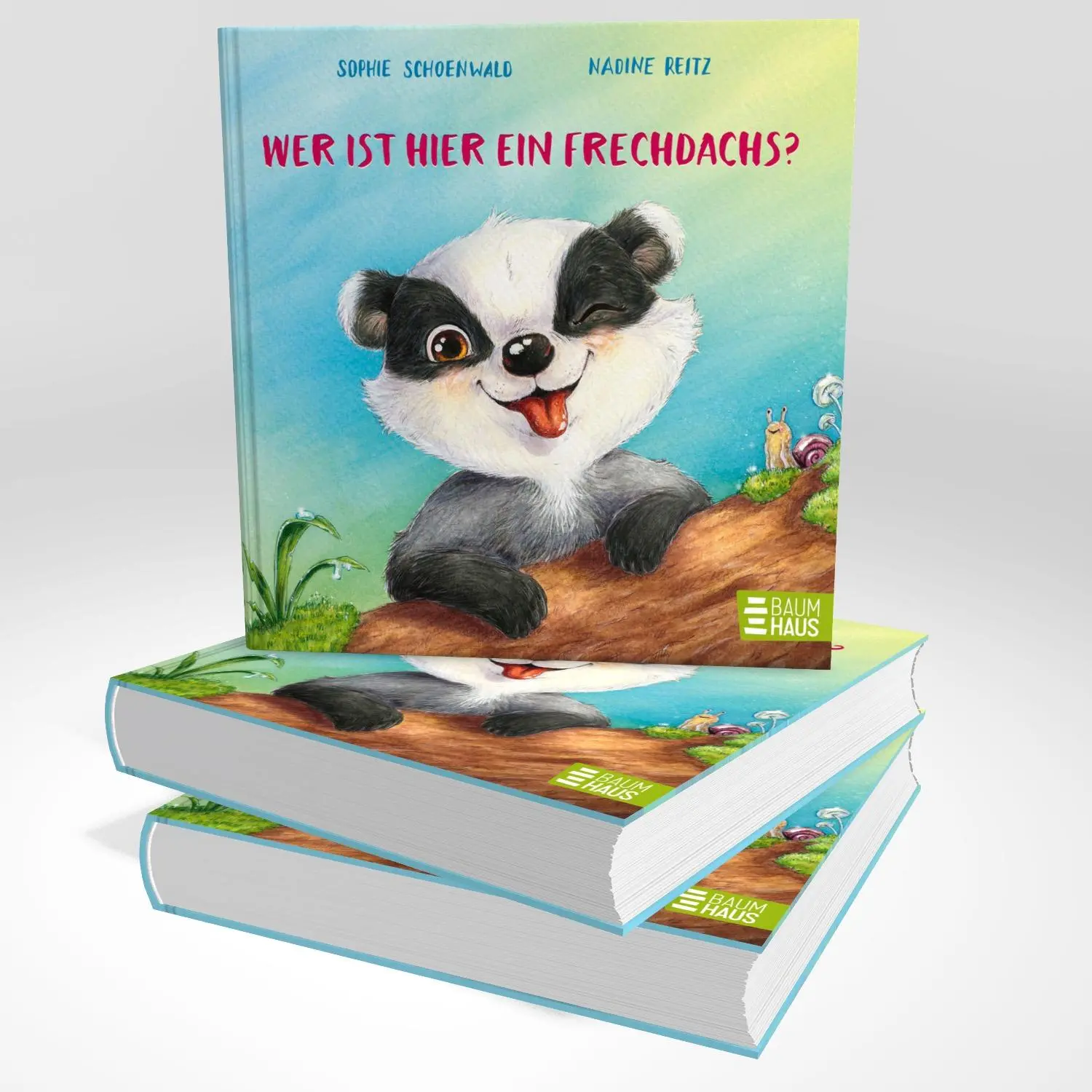 Bild: 9783833909993 | Wer ist hier ein Frechdachs? | Sophie Schoenwald | Buch | 26 S. | 2025