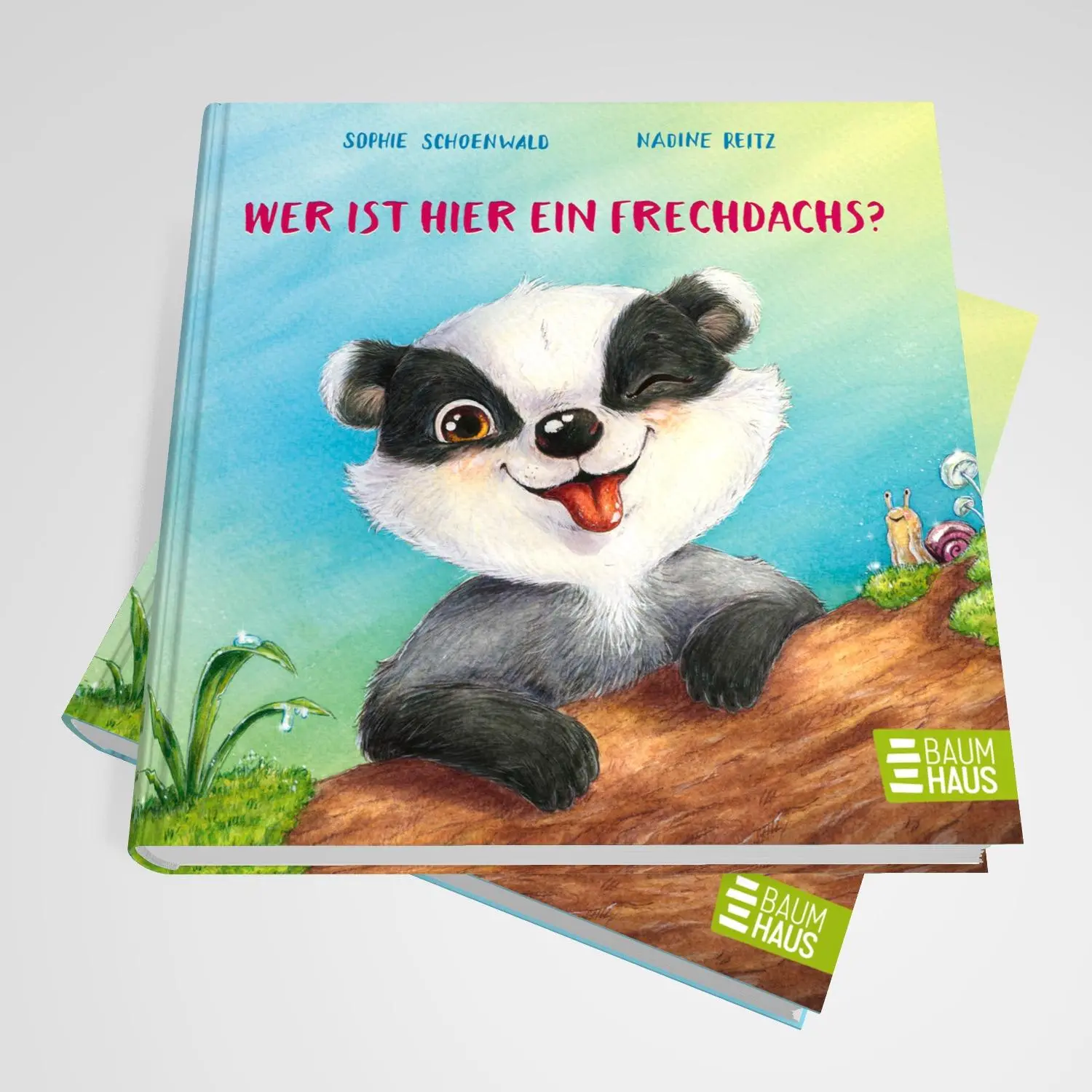 Bild: 9783833909993 | Wer ist hier ein Frechdachs? | Sophie Schoenwald | Buch | 26 S. | 2025
