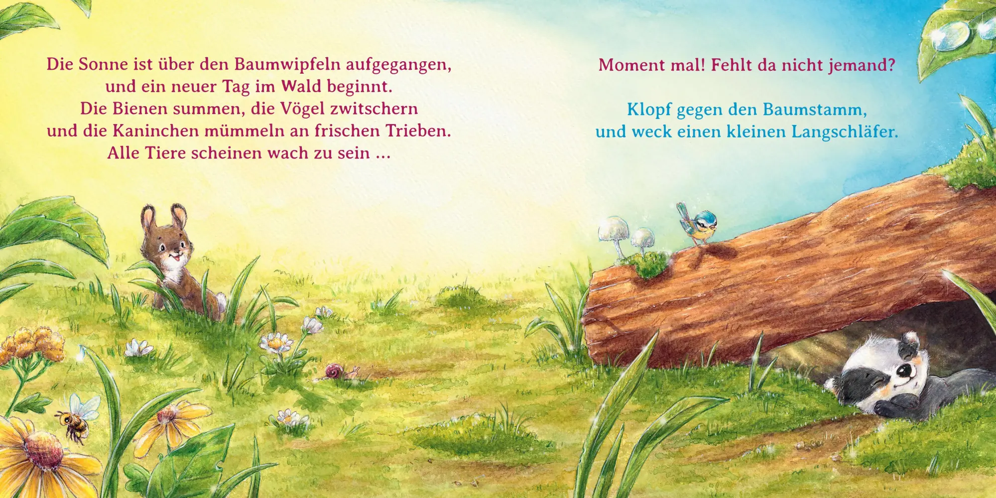 Bild: 9783833909993 | Wer ist hier ein Frechdachs? | Sophie Schoenwald | Buch | 26 S. | 2025