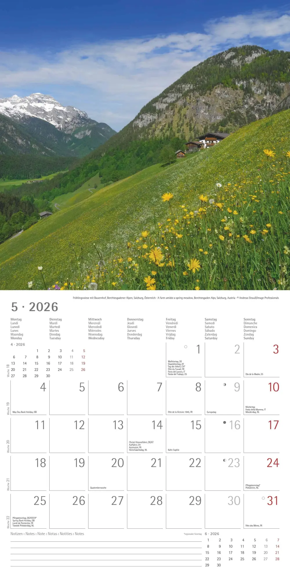 Bild: 4069095000094 | Alpha Edition - Alpen 2026 Broschürenkalender, 30x30cm,...