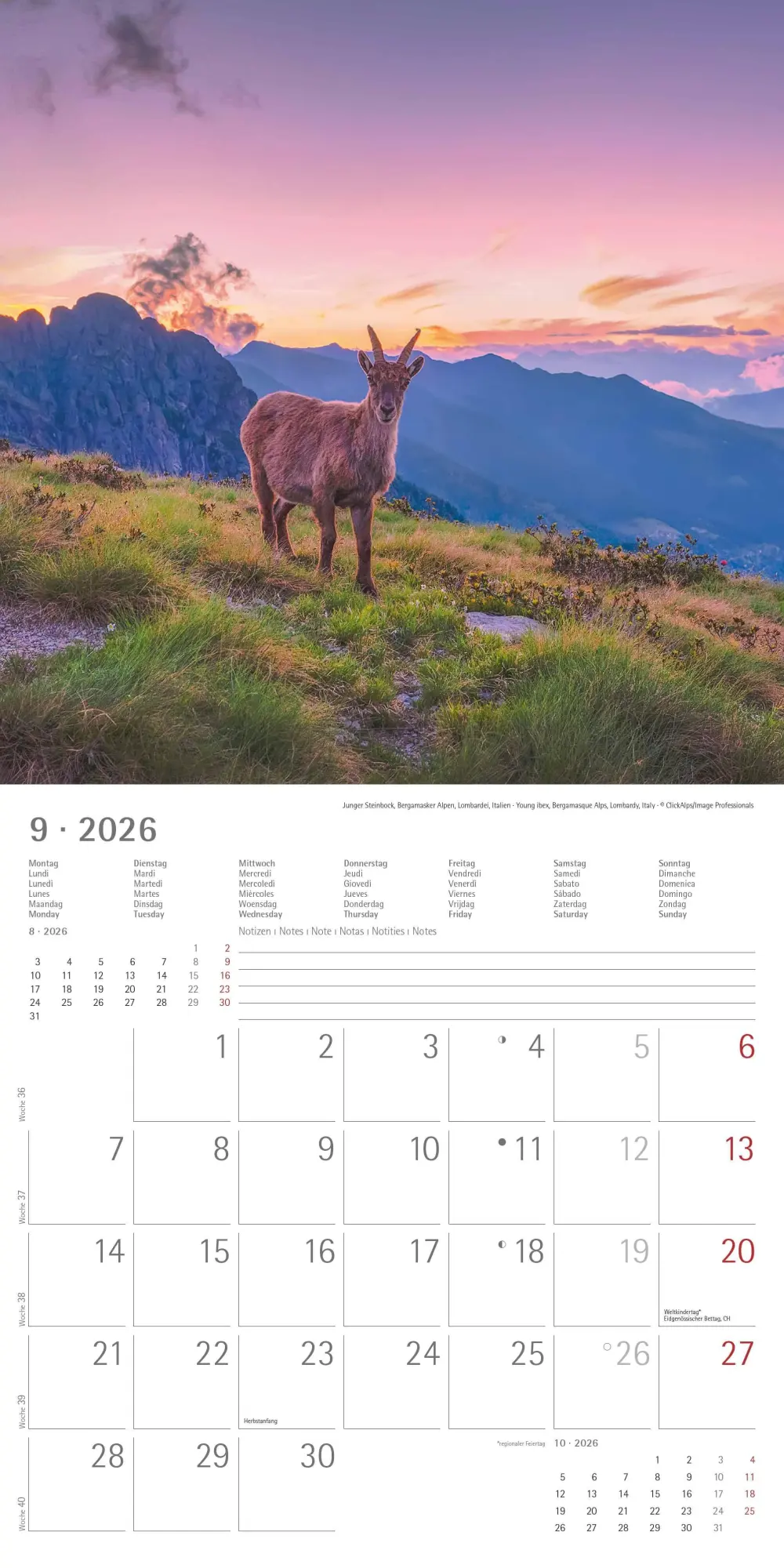 Bild: 4069095000094 | Alpha Edition - Alpen 2026 Broschürenkalender, 30x30cm,...