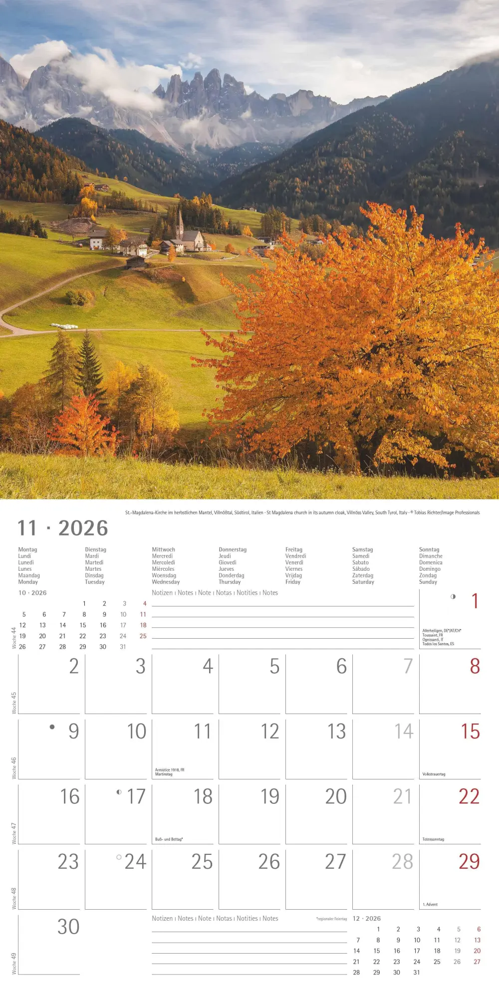 Bild: 4069095000094 | Alpha Edition - Alpen 2026 Broschürenkalender, 30x30cm,...