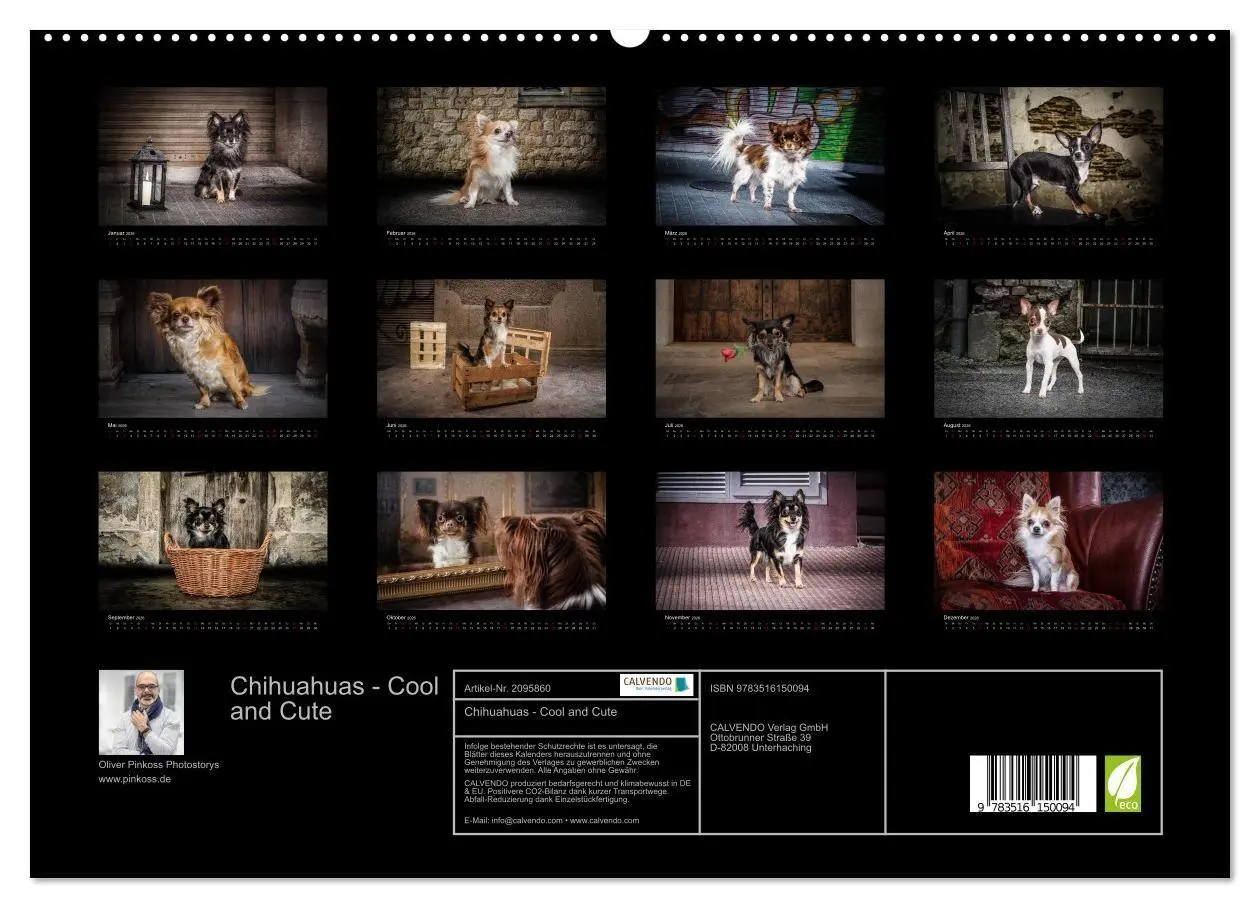 Bild: 9783516150094 | Chihuahuas - Cool and Cute (hochwertiger Premium Wandkalender 2026...