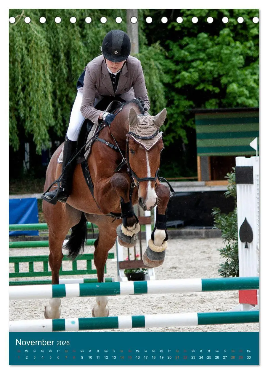 Bild: 9783516390094 | Springreiter in Aktion (Tischkalender 2026 DIN A5 hoch), CALVENDO...