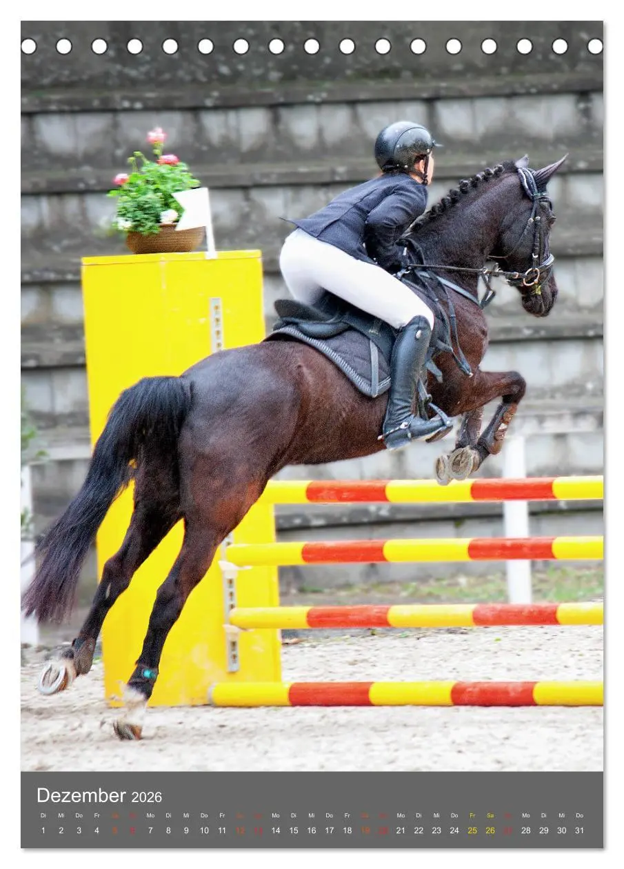 Bild: 9783516390094 | Springreiter in Aktion (Tischkalender 2026 DIN A5 hoch), CALVENDO...